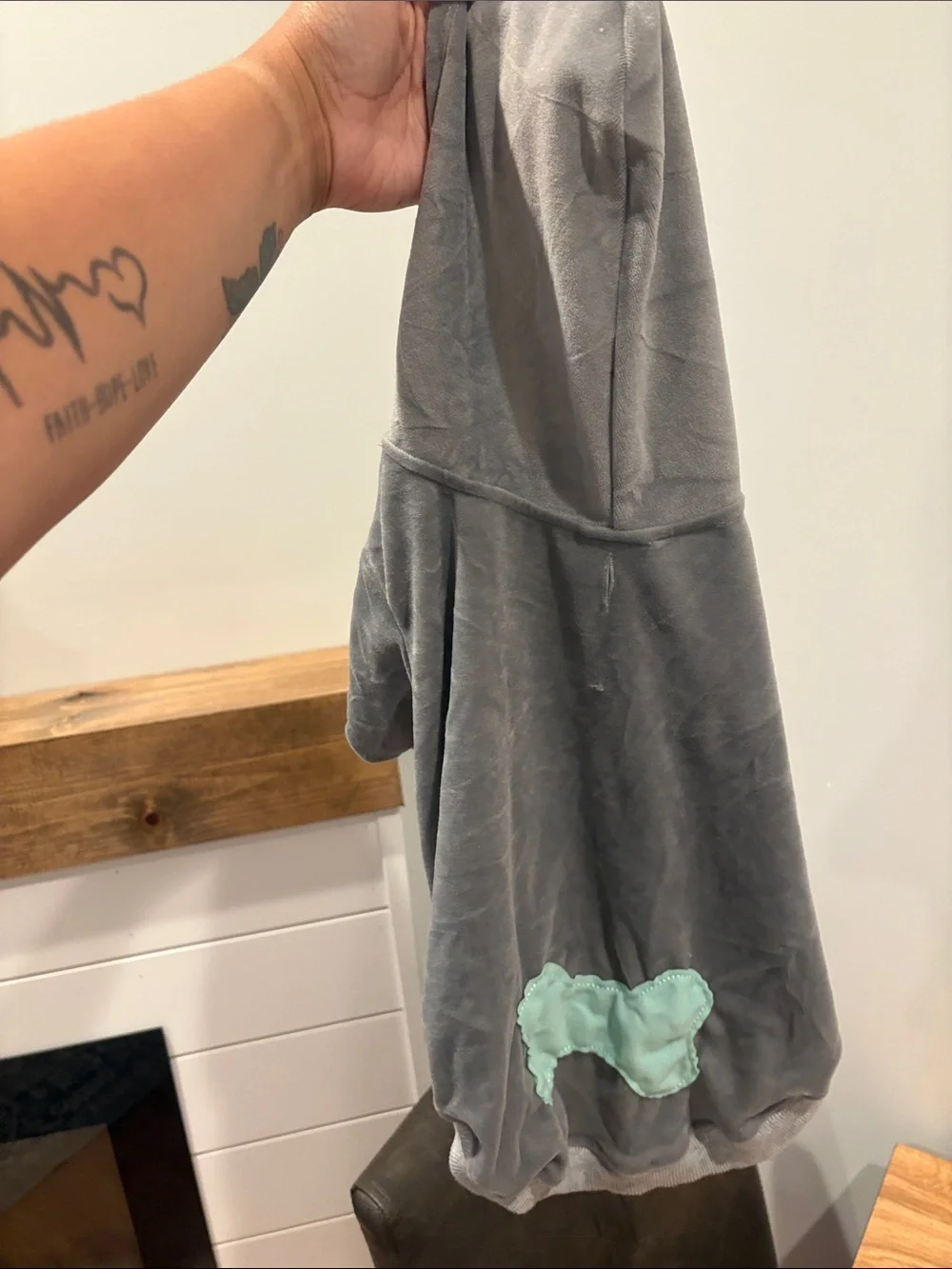 Gray Velour Pet hoodie pants set
